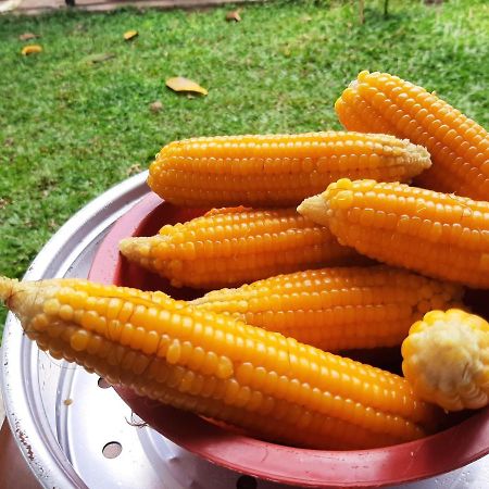 شقة Mangohut Joy أنرادابورام المظهر الخارجي الصورة