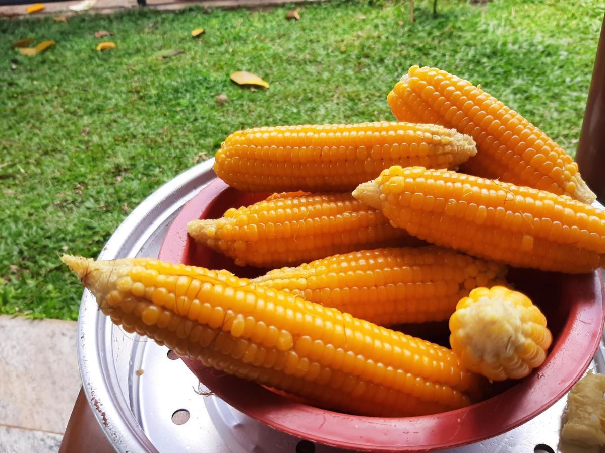 شقة Mangohut Joy أنرادابورام المظهر الخارجي الصورة